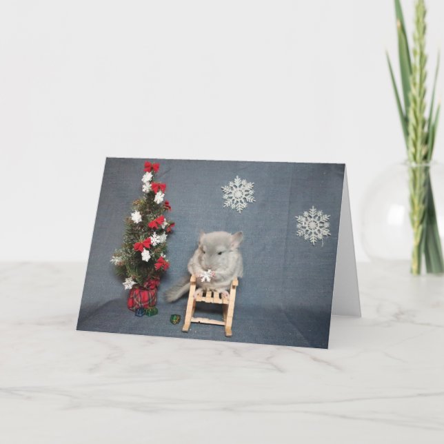 Baby chinchilla holding snowflake Christmas card (Front)