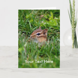 Baby Chipmunk Animal Photo Card