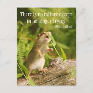 Baby Chipmunk Try Quote Postcard