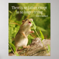 Baby Chipmunk Try Quote