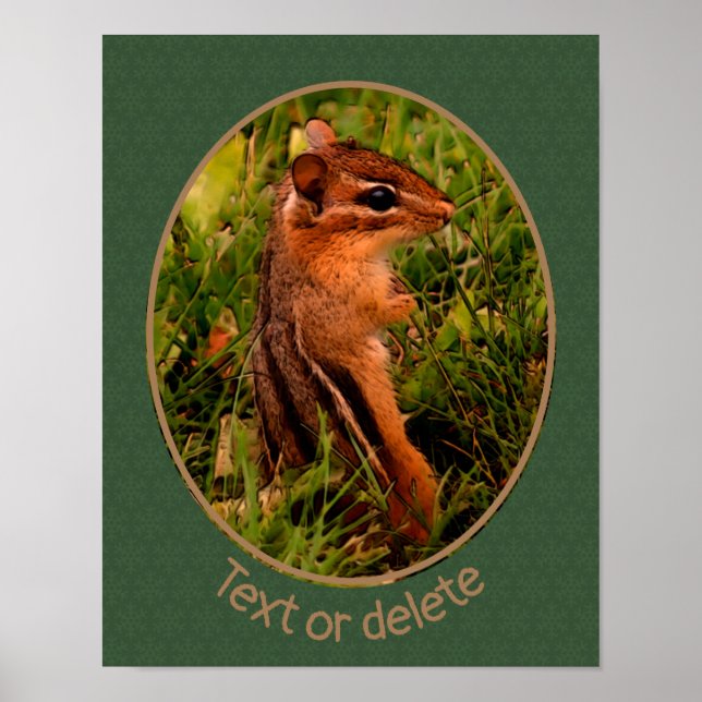 Baby Chipmunk Wildlife Animal Art Personalized  Poster (Front)