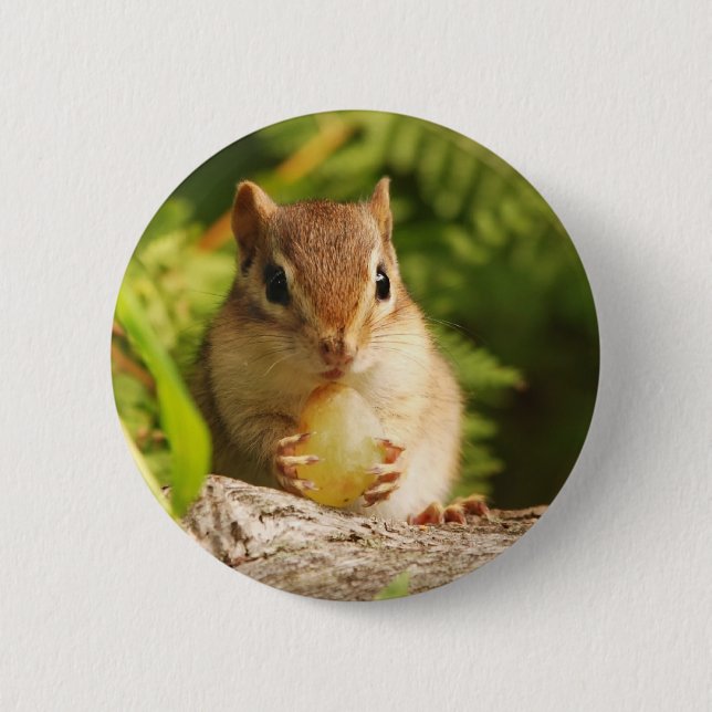 Baby Chipmunk with snack 6 Cm Round Badge (Front)
