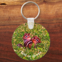 Baby Chipmunks Animal Art Personalised