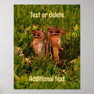 Baby Chipmunks Animal Art Personalised  Poster