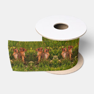Baby Chipmunks Animal Art Satin Ribbon