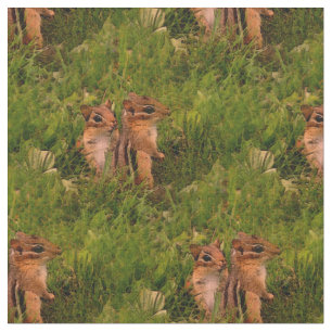 Baby Chipmunks Animal Nature Art Fabric