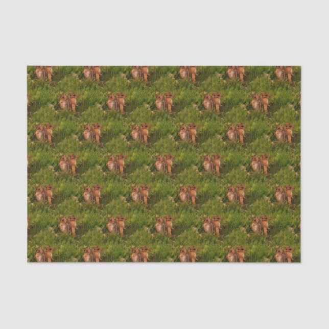 Baby Chipmunks Animal Nature Art  Tissue Paper (Front)