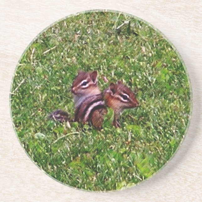 Baby Chipmunks Animal Nature Coaster (Front)