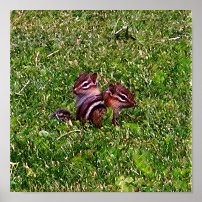 Baby Chipmunks First Day #3 Animal  Poster (Front)