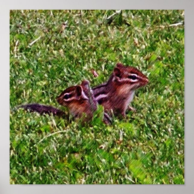 Baby Chipmunks First Day #4 Animal  Poster (Front)
