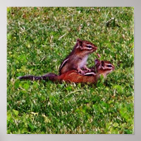 Baby Chipmunks First Day #5 Animal