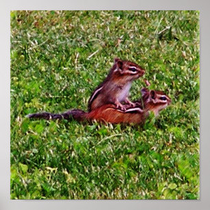Baby Chipmunks First Day #5 Animal Poster