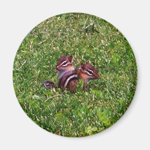 Baby Chipmunks First Day Animal Magnet
