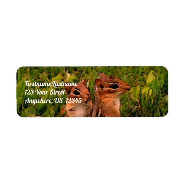 Baby Chipmunks Wildlife Animal Art Address (Front)