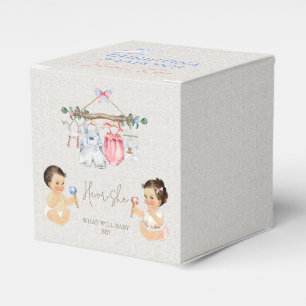 Baby Clothes Gender Reveal Ivory Pink Blue Favour Box
