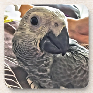 Baby Congo African Grey Parrot Coaster