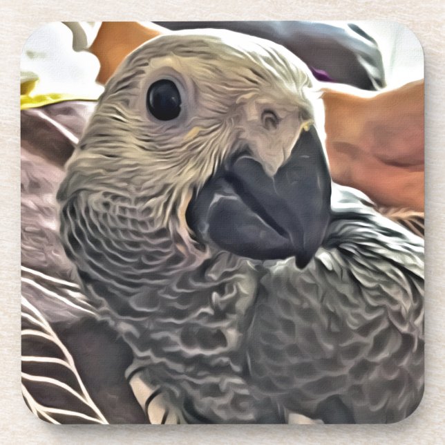Baby Congo African Grey Parrot Coaster (Front)