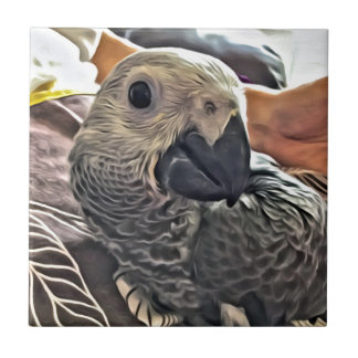 Baby Congo African Grey Parrot Tile