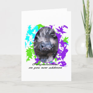 Baby Congratulations: Congratulations baby Card