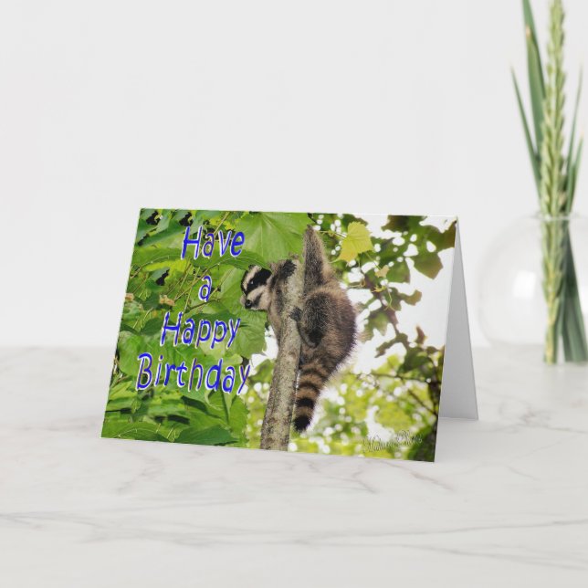 Baby Coon Bday wishes Card (Front)