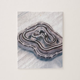 Baby Corn Snake Jigsaw Puzzle