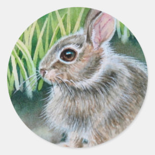 Baby Cottontail Bunny Rabbit Watercolor Art Classic Round Sticker