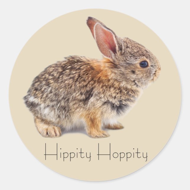Baby Cottontail Rabbit Classic Round Sticker (Front)