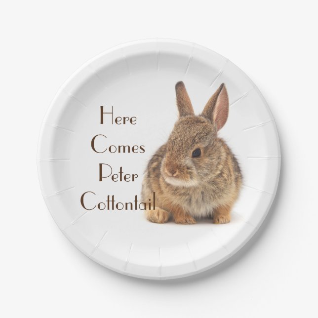 Baby Cottontail Rabbit Paper Plate (Front)