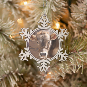 Baby Cow - Brown Baby Calf Close Up Face Snowflake Pewter Christmas Ornament