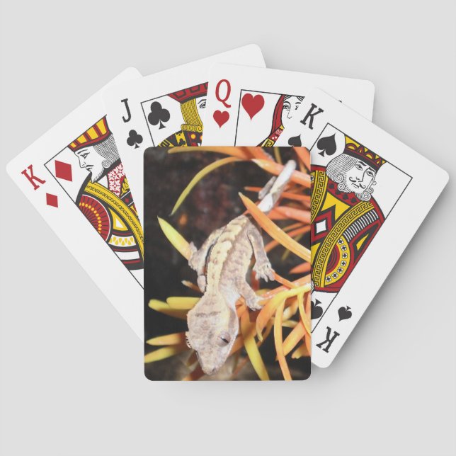 Baby Crested Gecko Playing Cards (Back)