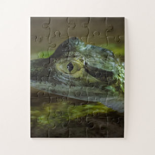 Baby Crocodile Swimming in Water Jigsaw Puzzle