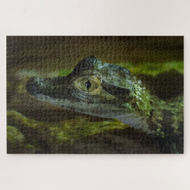 Baby Crocodile Swimming in Water Jigsaw Puzzle (Horizontal)