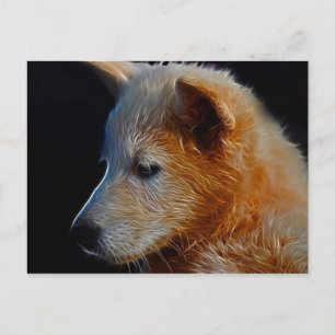 Baby Cub Postcard