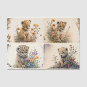 Baby Cubs Tissue Paper