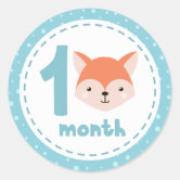 Baby Month Stickers, Zazzle