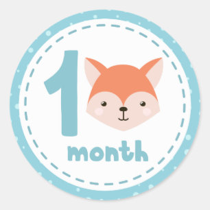 *~* Baby Cute Fox Powder Blue Milestone Classic Round Sticker