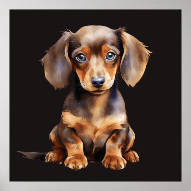 Baby Dachshund Poster (Front)