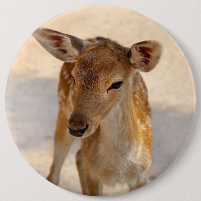 Baby Deer 6 Cm Round Badge (Front)