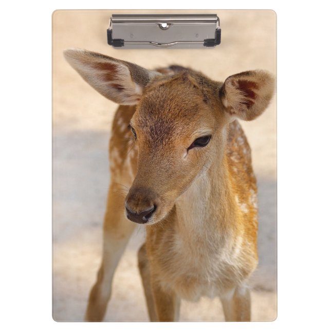Baby Deer Clipboard (Front)