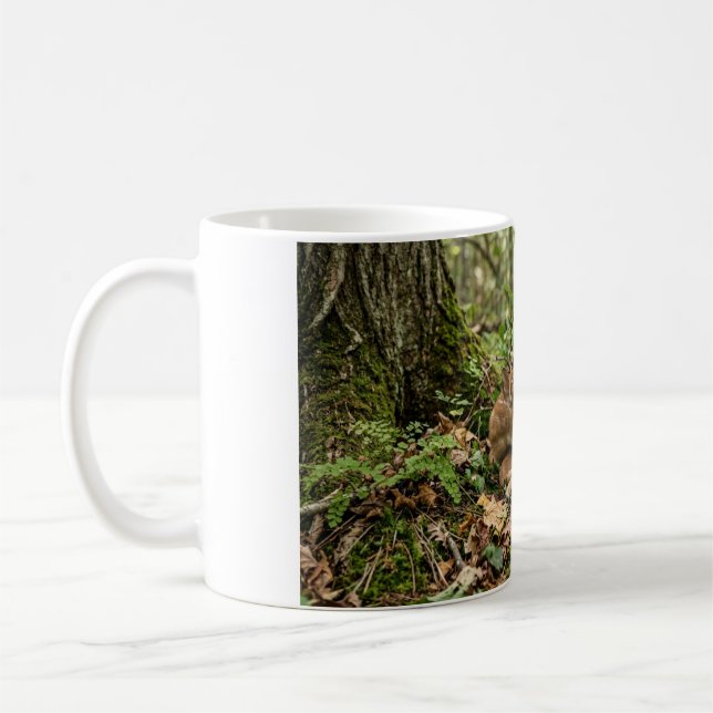 Baby Deer Curled in a Forest Coffee Mug (Left)