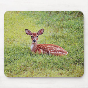 Baby Deer Fawn Art Mouse Pad