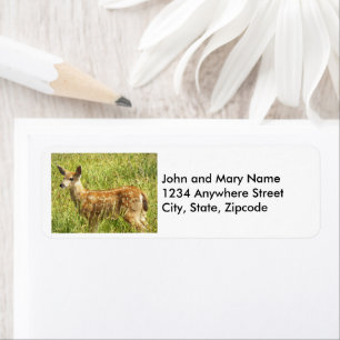 Baby Deer Fawn Nature Photo Return Address
