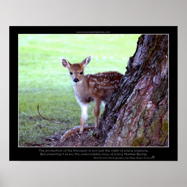 Baby Deer Fawn Photo & Poem Poster (Front)