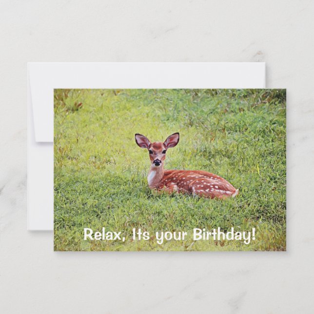 Baby Deer Fawn Relaxing Flat Birthday Card (Front)
