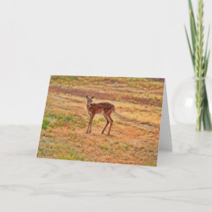 Baby Deer Fawn Wild Animal Art Note Card