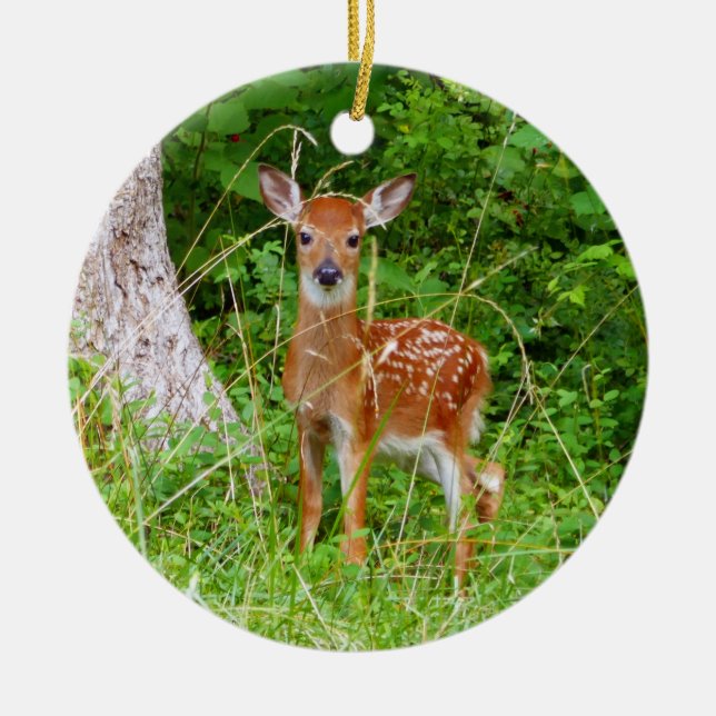 Baby Deer in the Woods Nature Photography Ceramic Tree Decoration (Front)