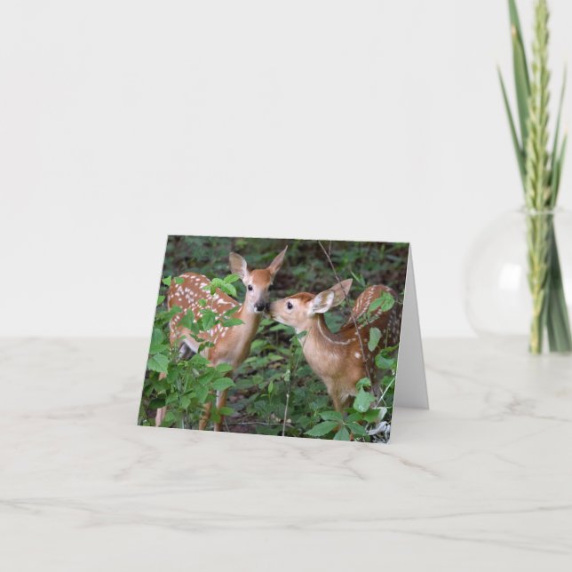 Baby Deer Love and Friendship Greeting Card (Front)