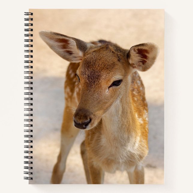Baby Deer Notebook (Front)