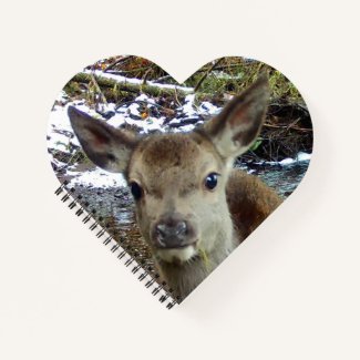 Baby Deer 