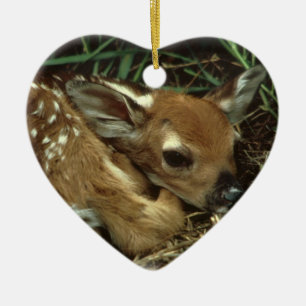 Baby Deer  Ornament